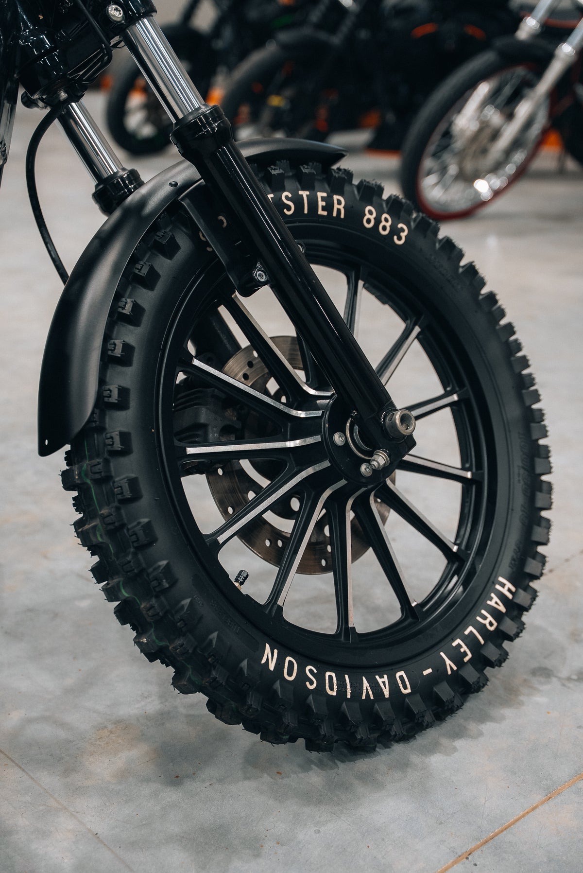 KING of CRUIZERS no. XVI - Dirtster