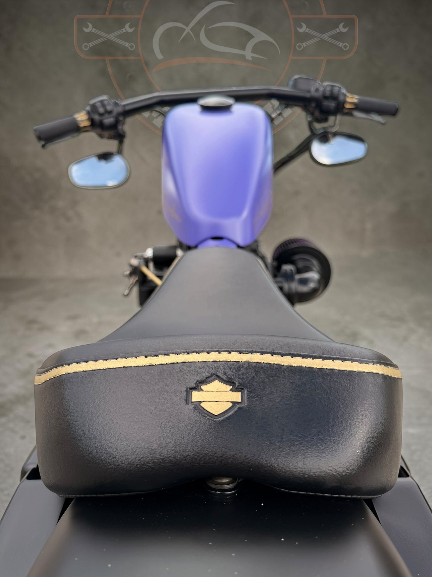 Harley Davidson Iron 1200 Stage 1 - Bobber | Purple Gecko