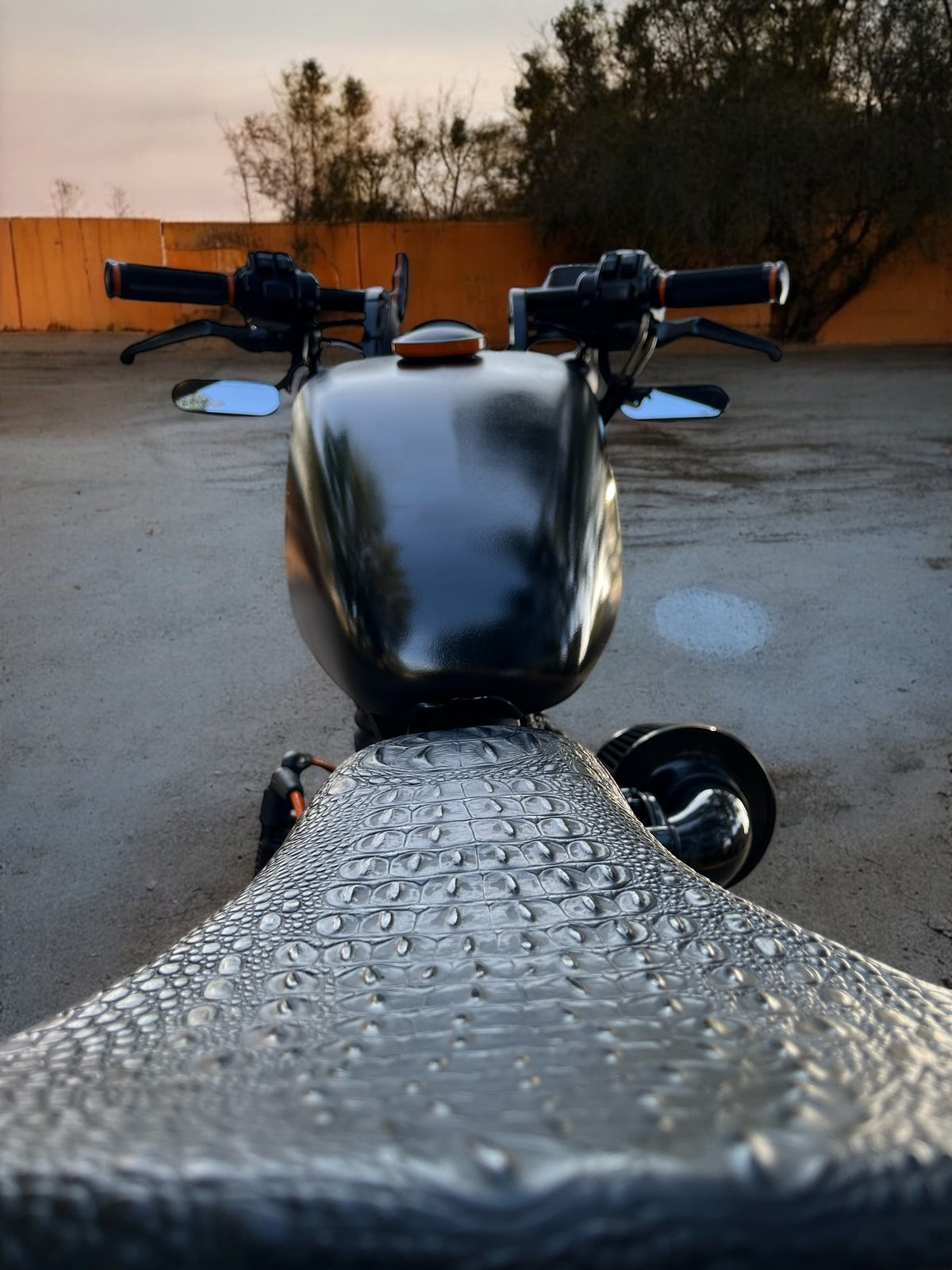 Harley Davidson Sportster Iron 883 | Afterburner