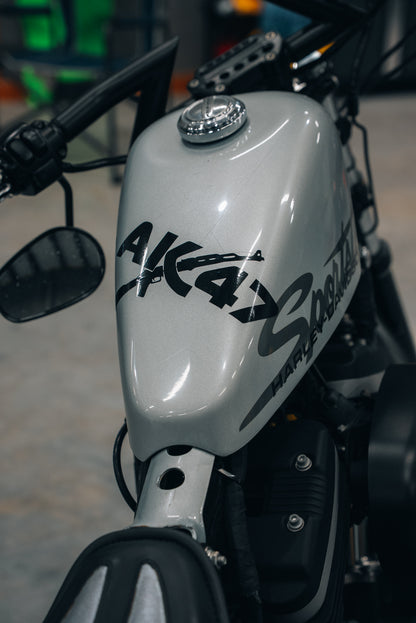Harley Davidson Sportster Iron 883 | Dirtster 883