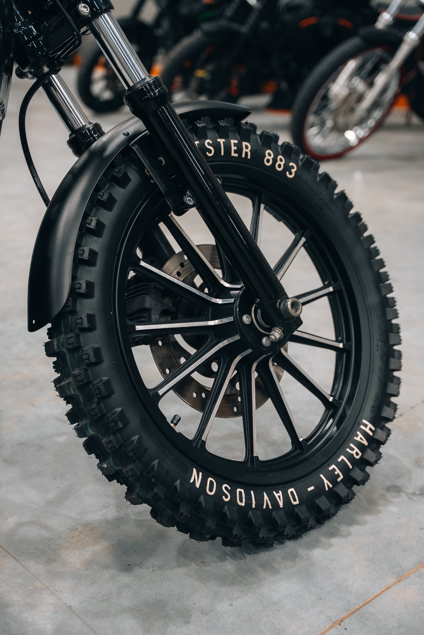 Harley Davidson Sportster Iron 883 | Dirtster 883