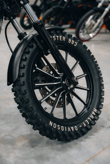 Harley Davidson Sportster Iron 883 | Dirtster 883