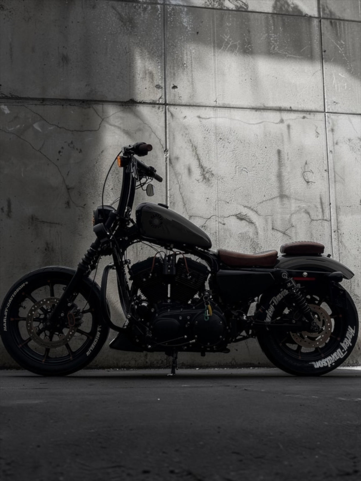 Harley Davidson Sportster Iron 883 | MCP Signature