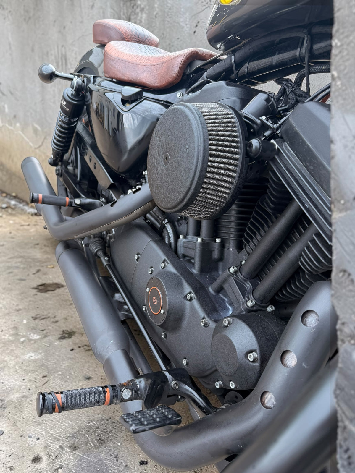 Harley Davidson Sportster Iron 883 | MCP Signature