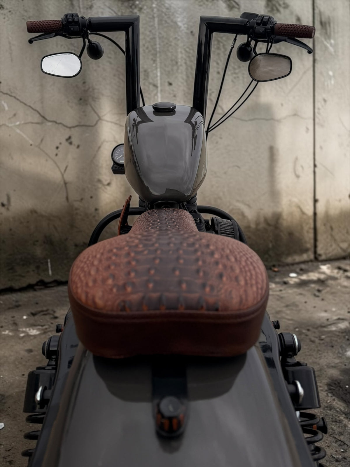 Harley Davidson Sportster Iron 883 | MCP Signature