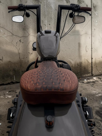 Harley Davidson Sportster Iron 883 | MCP Signature