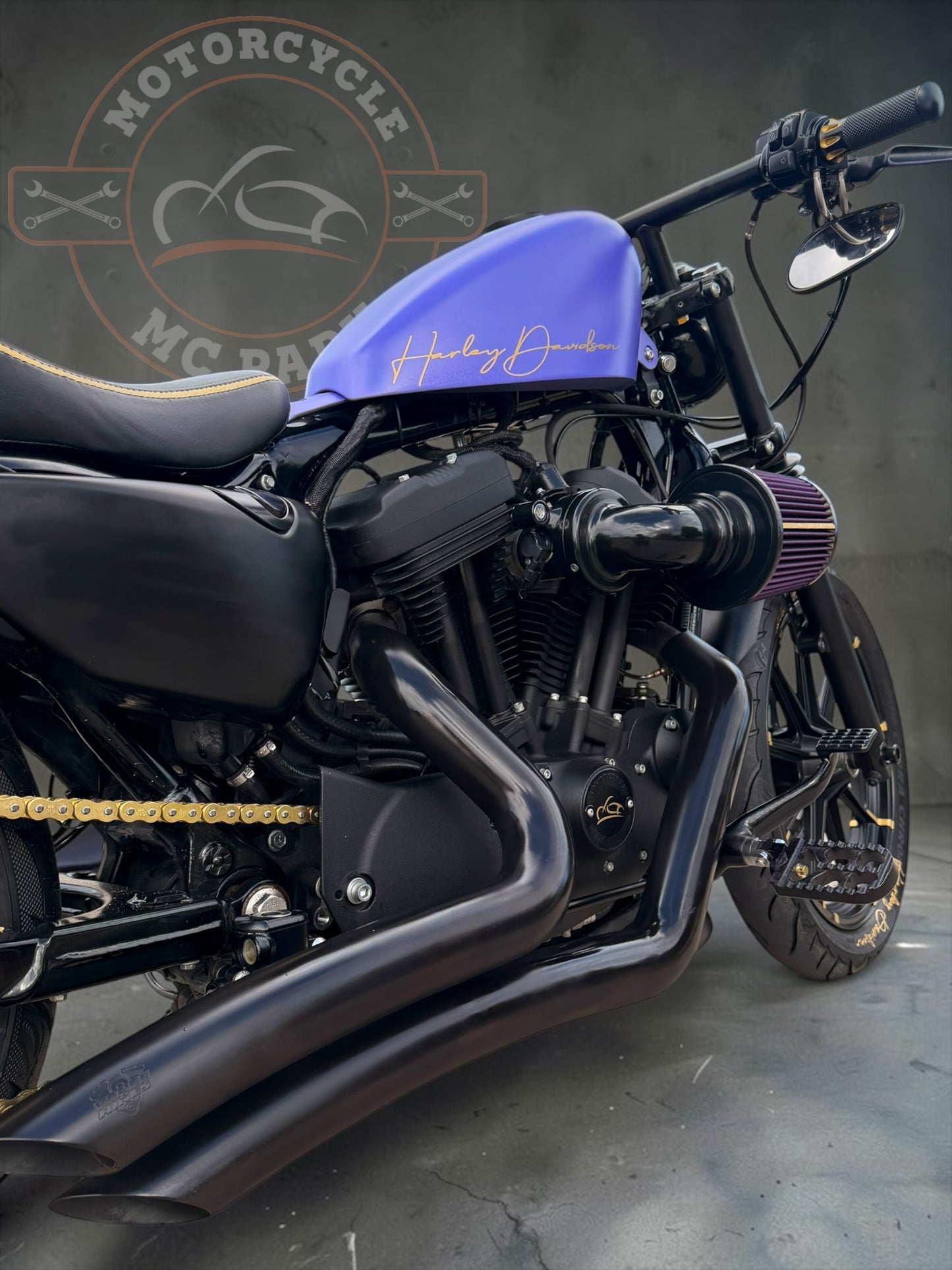 Harley Davidson Iron 1200 Stage 1 - Bobber | Purple Gecko