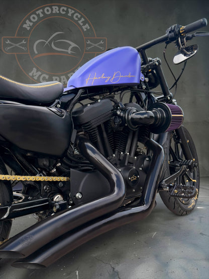 Harley Davidson Iron 1200 Stage 1 - Bobber | Purple Gecko