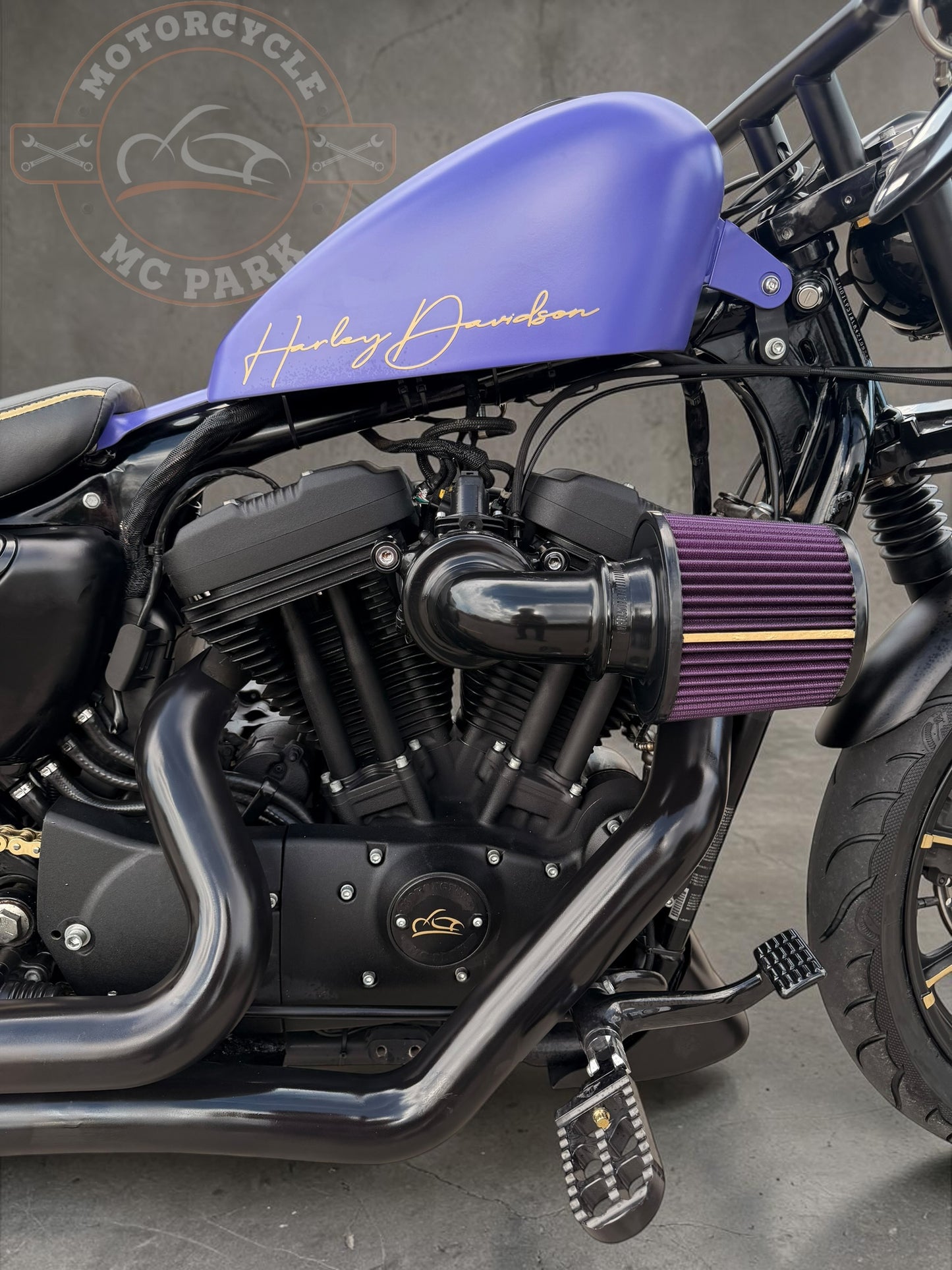 Harley Davidson Iron 1200 Stage 1 - Bobber | Purple Gecko