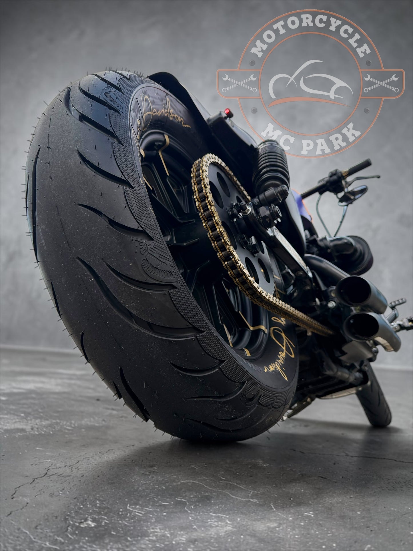 Harley Davidson Iron 1200 Stage 1 - Bobber | Purple Gecko