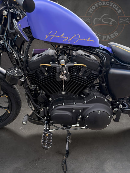 Harley Davidson Iron 1200 Stage 1 - Bobber | Purple Gecko
