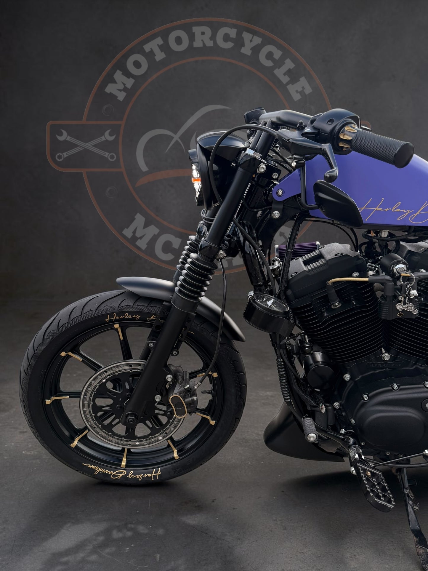 Harley Davidson Iron 1200 Stage 1 - Bobber | Purple Gecko