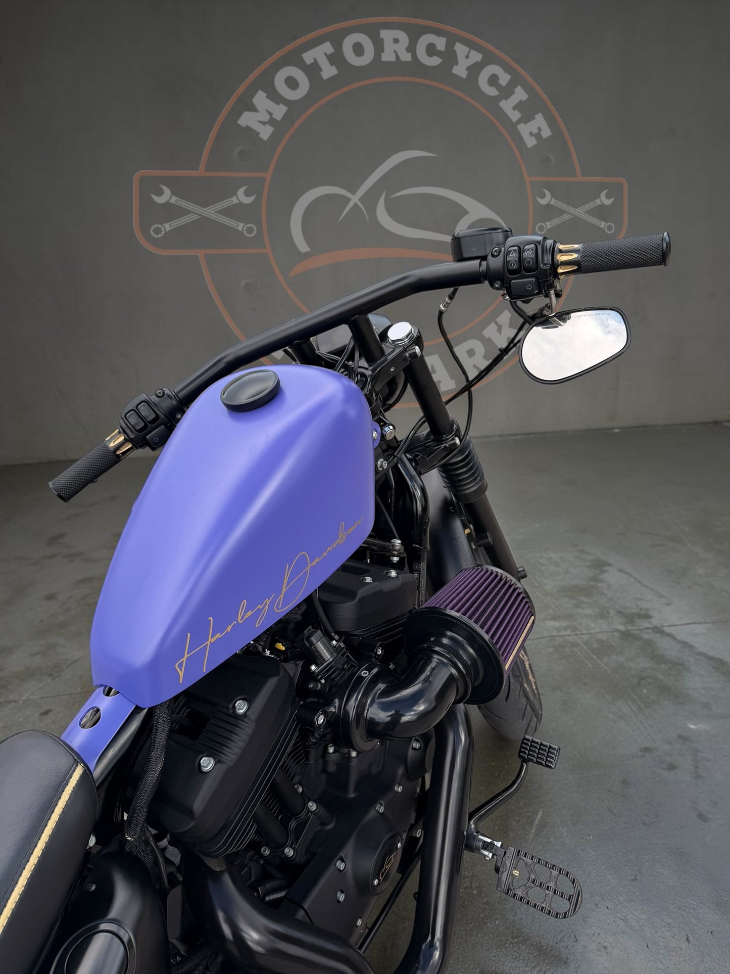 Harley Davidson Iron 1200 Stage 1 - Bobber | Purple Gecko