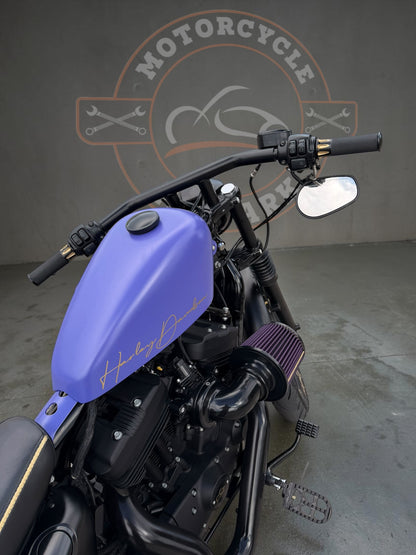 Harley Davidson Iron 1200 Stage 1 - Bobber | Purple Gecko
