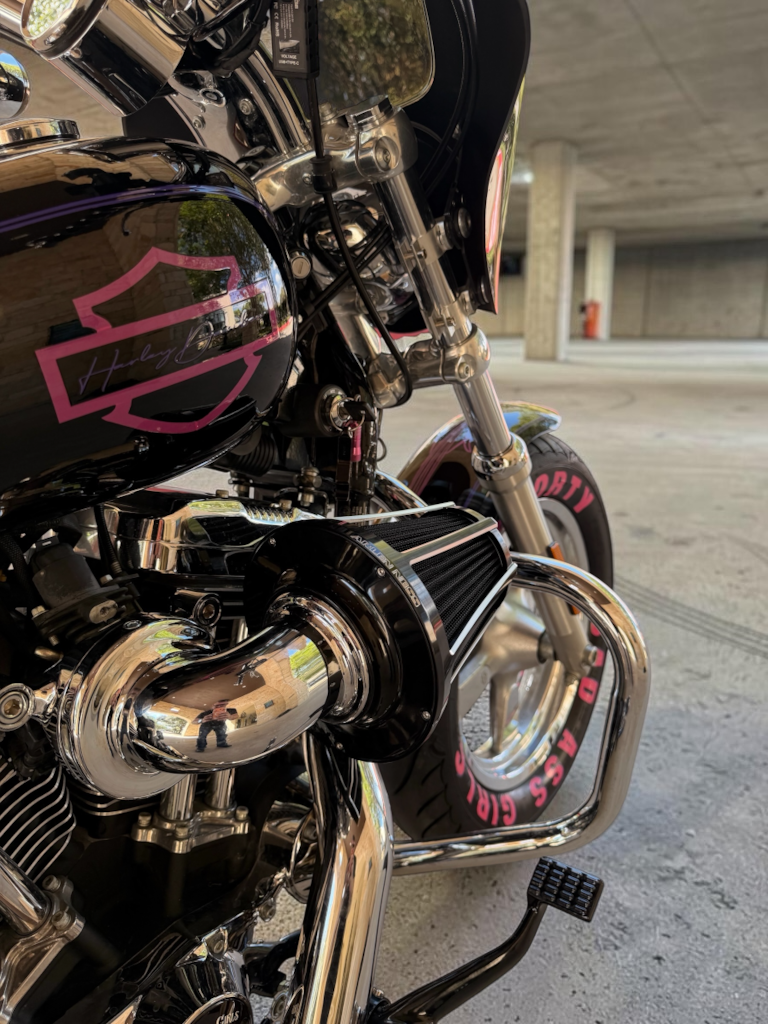 Harley Davidson Sportster XL1200 Low | King of Bobbers No. XIV - Badass Girls