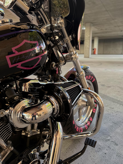 Harley Davidson Sportster XL1200 Low | King of Bobbers No. XIV - Badass Girls