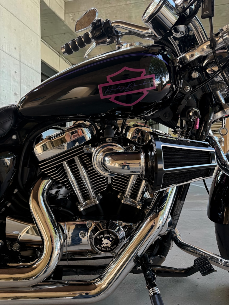Harley Davidson Sportster XL1200 Low | King of Bobbers No. XIV - Badass Girls
