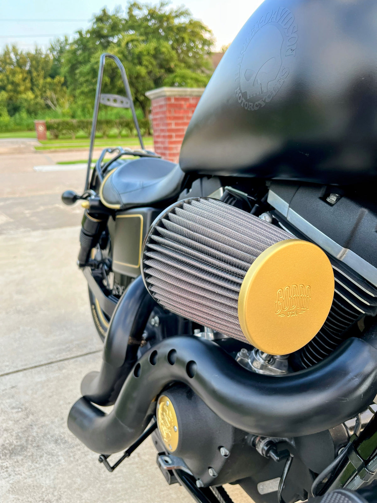 Harley Davidson Dyna Street Bob | Gold Rush