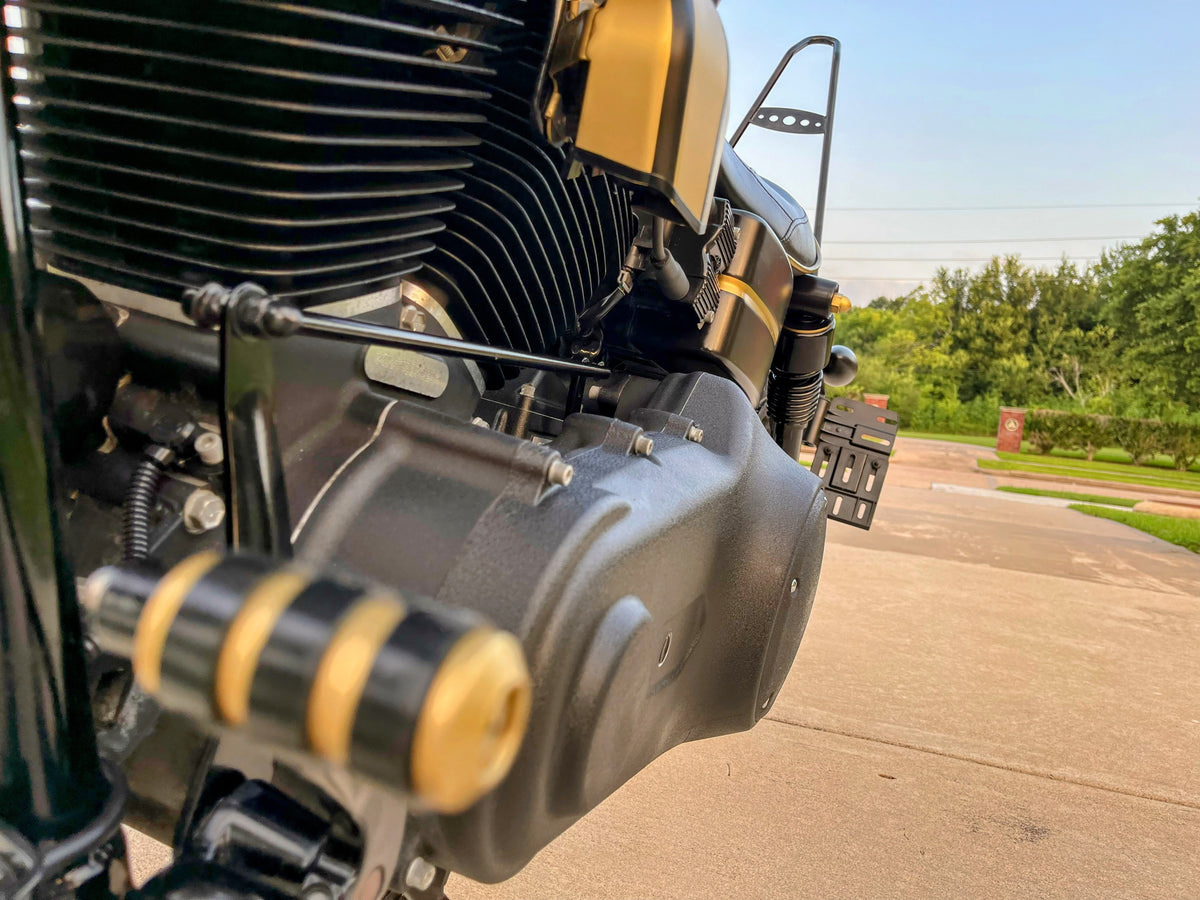 Harley Davidson Dyna Street Bob | Gold Rush