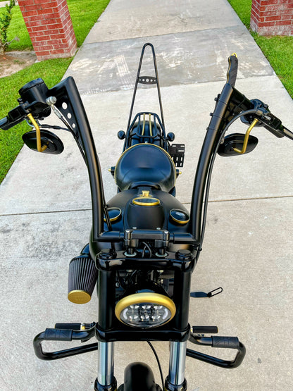 Harley Davidson Dyna Street Bob | Gold Rush