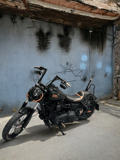 Harley Davidson Dyna Street Bob | Negan