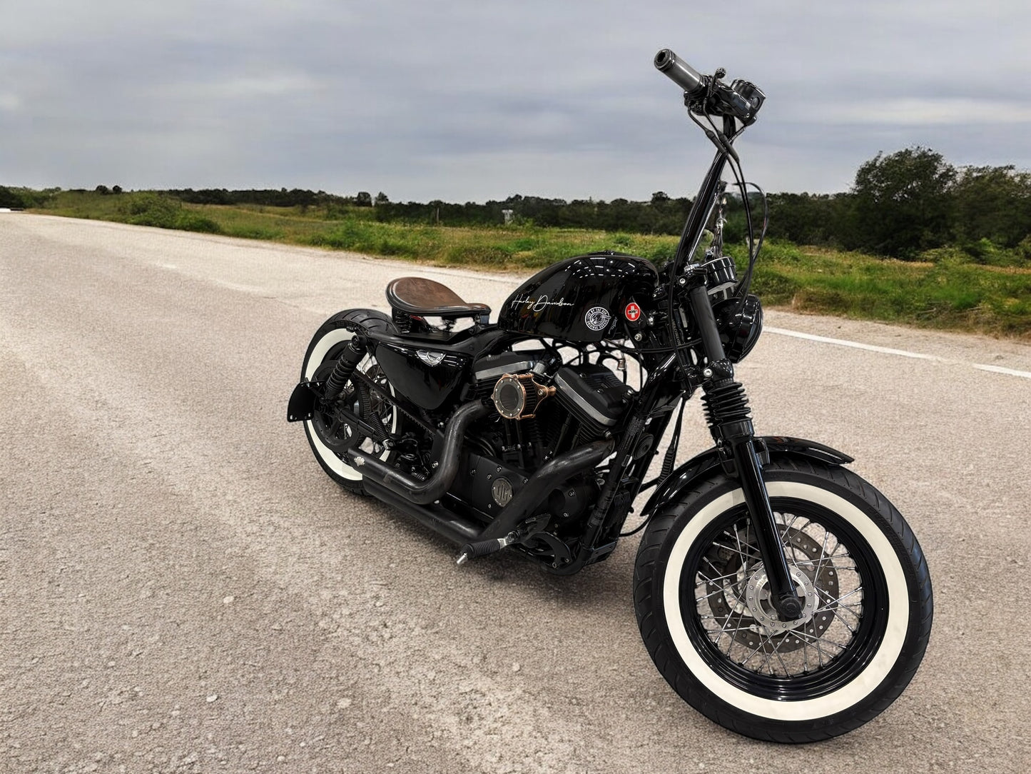 Harley Davidson Sportster 48 Bobber | Black Jack