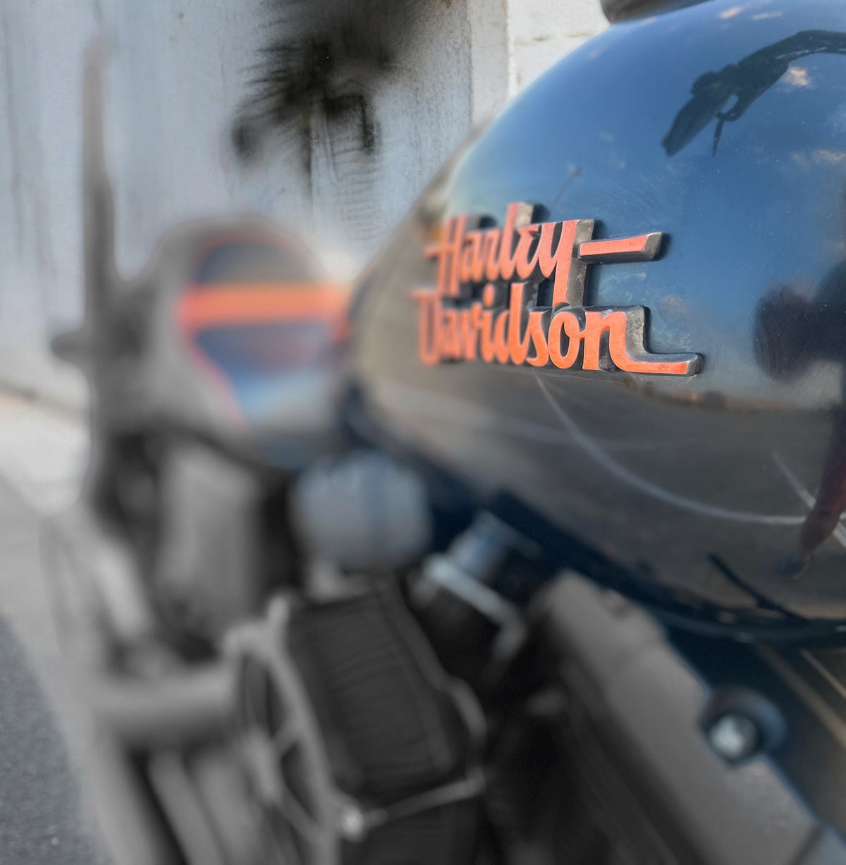 Harley Davidson Dyna Street Bob | Negan
