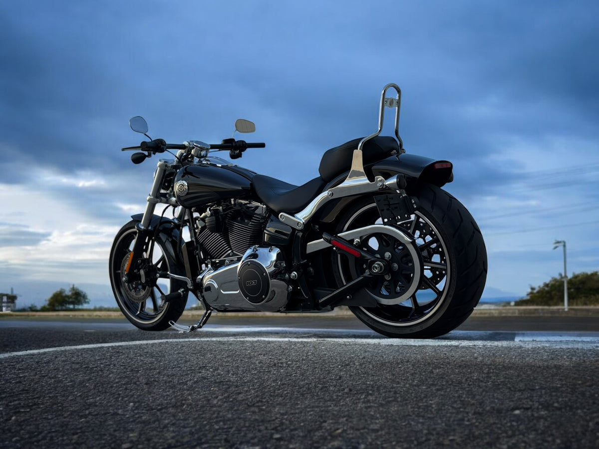 Harley Davidson Breakout | Stock look w/ Stage 4 Engine