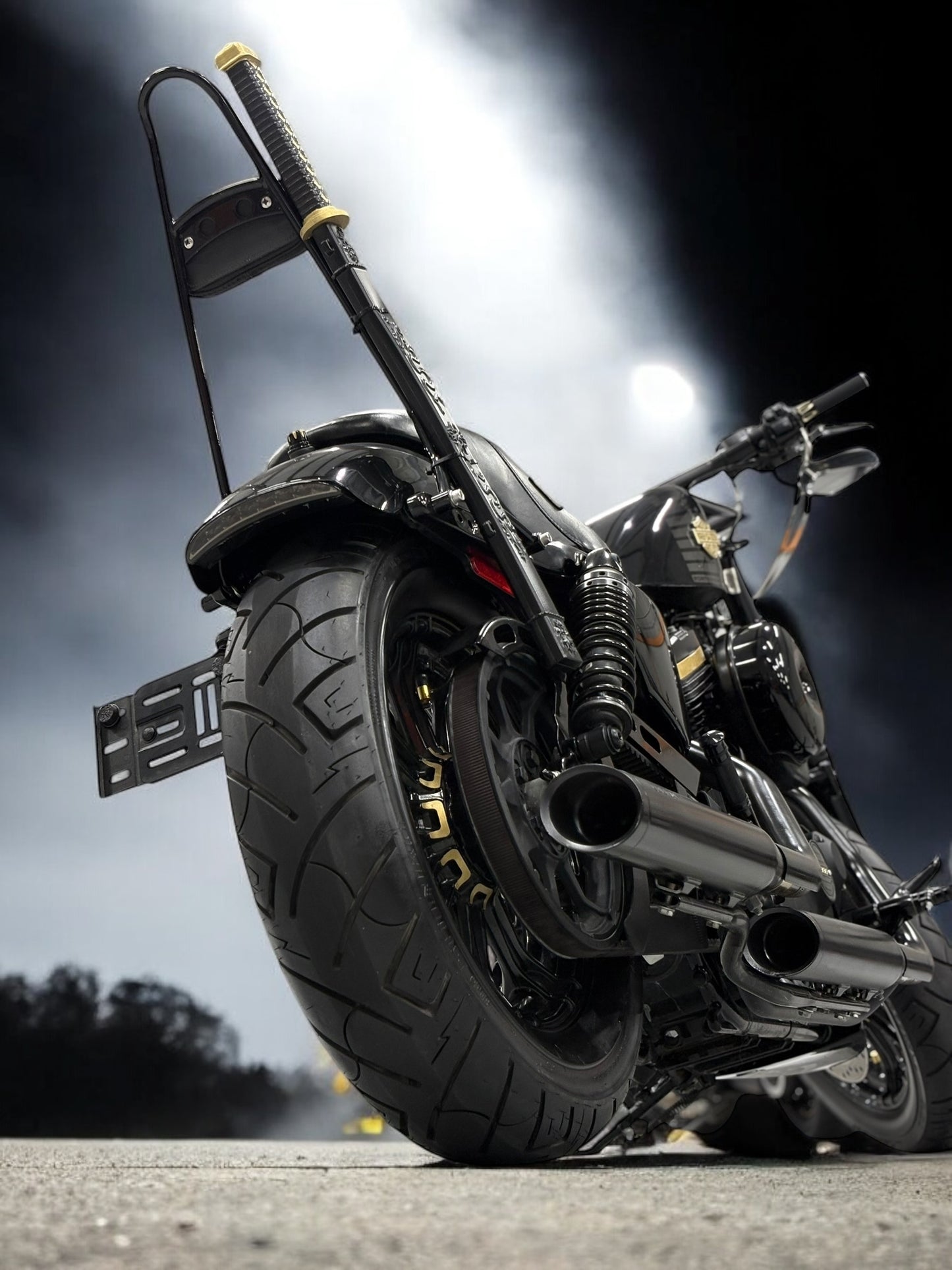 Harley Davidson Sportster 48 | Katana