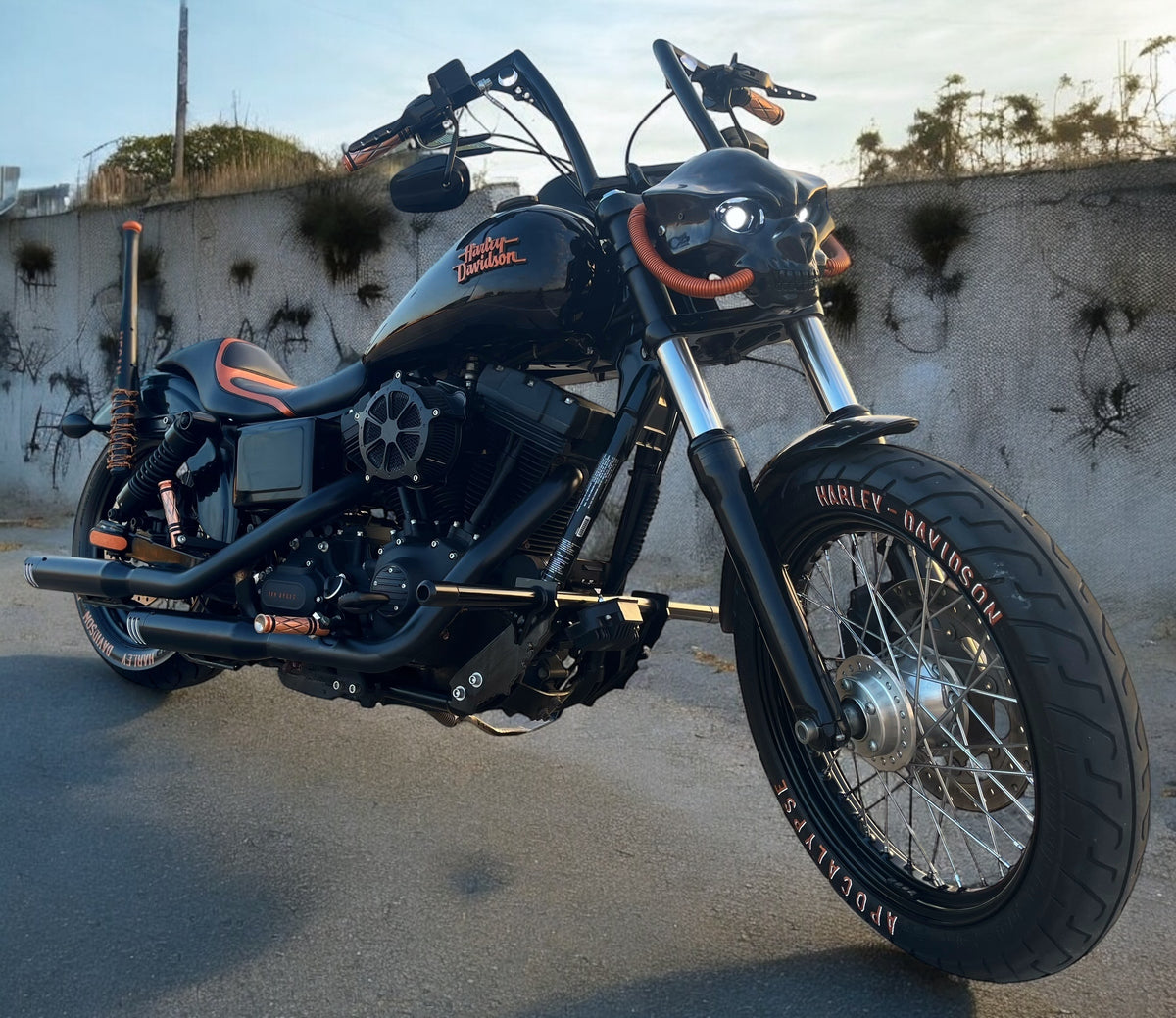 Harley Davidson Dyna Street Bob | Negan